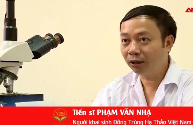 4 bí mật về đông trùng hạ thảo Việt