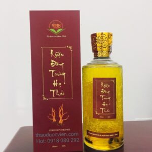 Rượu Đông trùng hạ thảo 65ml