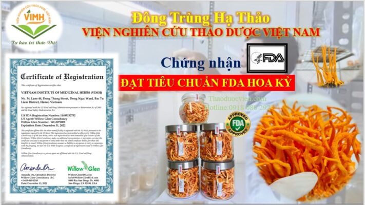 Món quà tết ý nghĩa nhất cho người lớn tuổi- Đông Trùng Hạ Thảo