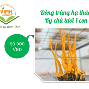 Đông Trùng Hạ Thảo